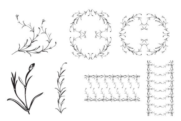 Elevate Your Designs with Botanical Hand Drawn Floral Frames